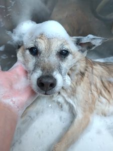 20251229_123941_copy_4304x5739