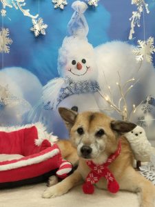 20251229_133602~2_copy_2048x2731