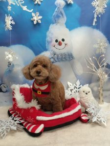 20251229_191844_copy_1970x2628