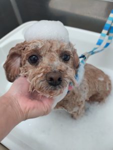 20251230_101109_copy_3013x4018