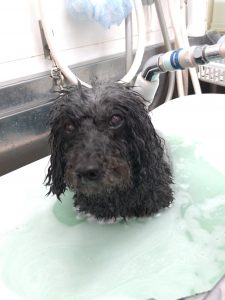 20251230_125117_copy_2012x2682