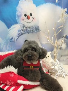 20251230_151819~2_copy_1796x2394