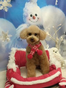 20251230_164523_copy_1850x2468