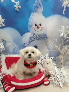 20251230_184014_copy_1944x2592