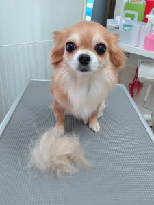 20260105_094854_copy_2364x3152