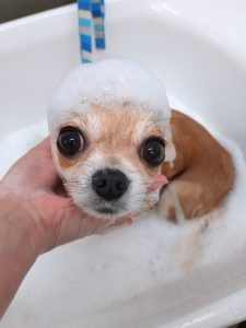 20260105_101606_copy_2700x3600_1