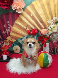 20260105_111050_copy_1945x2591