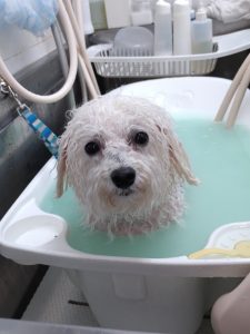 20260105_124602(1)_copy_1944x2592