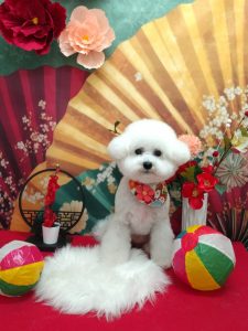 20260105_143655_copy_2047x2728