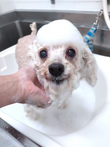 20260105_153211_copy_2792x3722