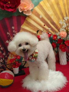 20260105_173616(1)_copy_1844x2458_1