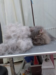 20260105_181042_copy_2078x2770