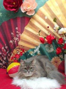 20260105_192246_copy_1892x2522