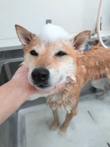 20260106_092419_copy_2842x3789_1