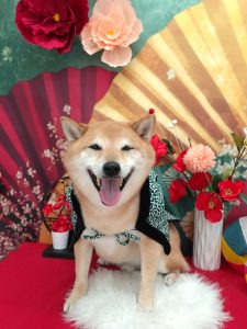 20260106_100133_copy_2013x2684