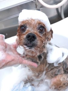 20260106_105035_copy_5400x7200