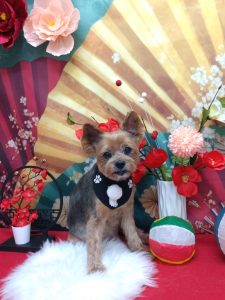 20260106_121153_copy_1930x2573