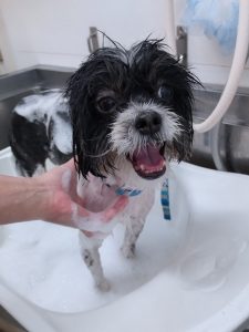 20260106_132251_copy_2700x3600_1