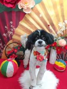 20260106_151419~2_copy_1938x2586