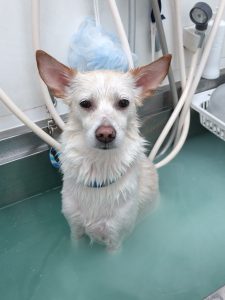 20260106_155443_copy_2064x2752