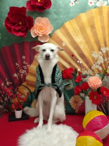 20260106_163854_copy_1992x2656