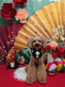 20260106_184313~2_copy_1859x2478