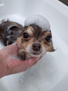 20260108_085805_copy_2508x3344