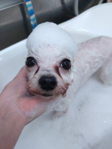 20260108_101320_copy_2479x3306