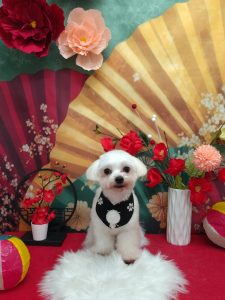 20260108_105020_copy_2016x2688