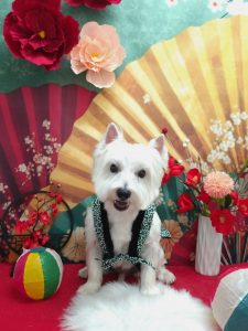 20260108_121319~2_copy_2004x2673