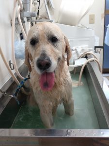 20260108_125632_copy_1946x2594