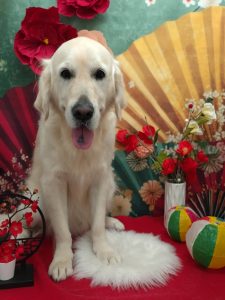 20260108_140432_copy_1960x2614