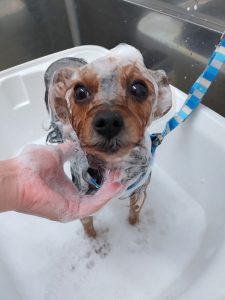 20260108_144146~2_copy_5166x6888