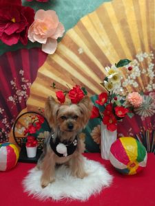 20260108_163404_copy_1955x2605