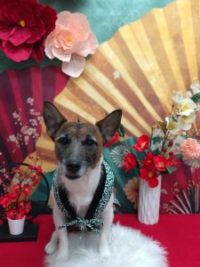 20260108_172128_copy_2066x2755