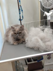 20260109_091353_copy_1944x2592