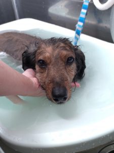 20260109_100023_copy_2066x2754