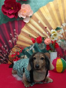 20260109_115748_copy_1957x2609