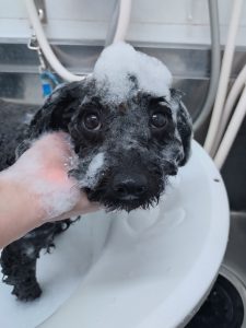 20260109_131009_copy_2957x3942