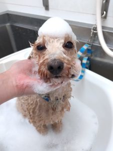 20260109_162031_copy_2700x3600_1