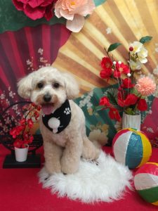 20260109_184645~2_copy_1854x2474