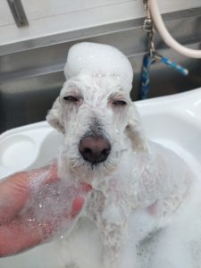 20260110_103932_copy_3000x4000