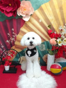 20260110_121038_copy_2059x2746