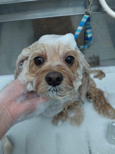 20260110_132606_copy_2673x3564