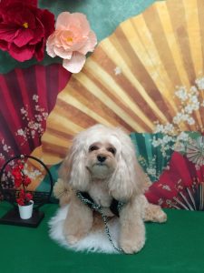 20260110_154752_copy_1944x2592