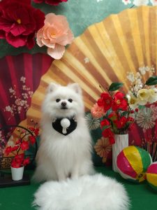 20260110_180425(1)_copy_2018x2688