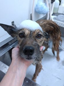 20260110_182956_copy_2430x3240_1