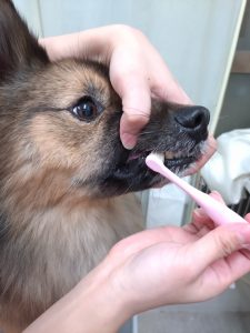 20260110_192157_copy_3000x4000