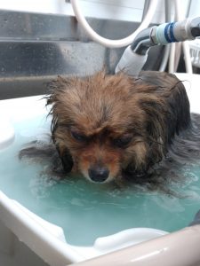 20260113_090144_copy_2016x2688