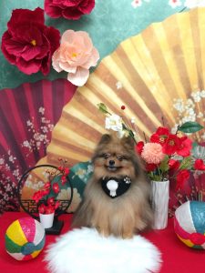 20260113_102203_copy_1906x2542